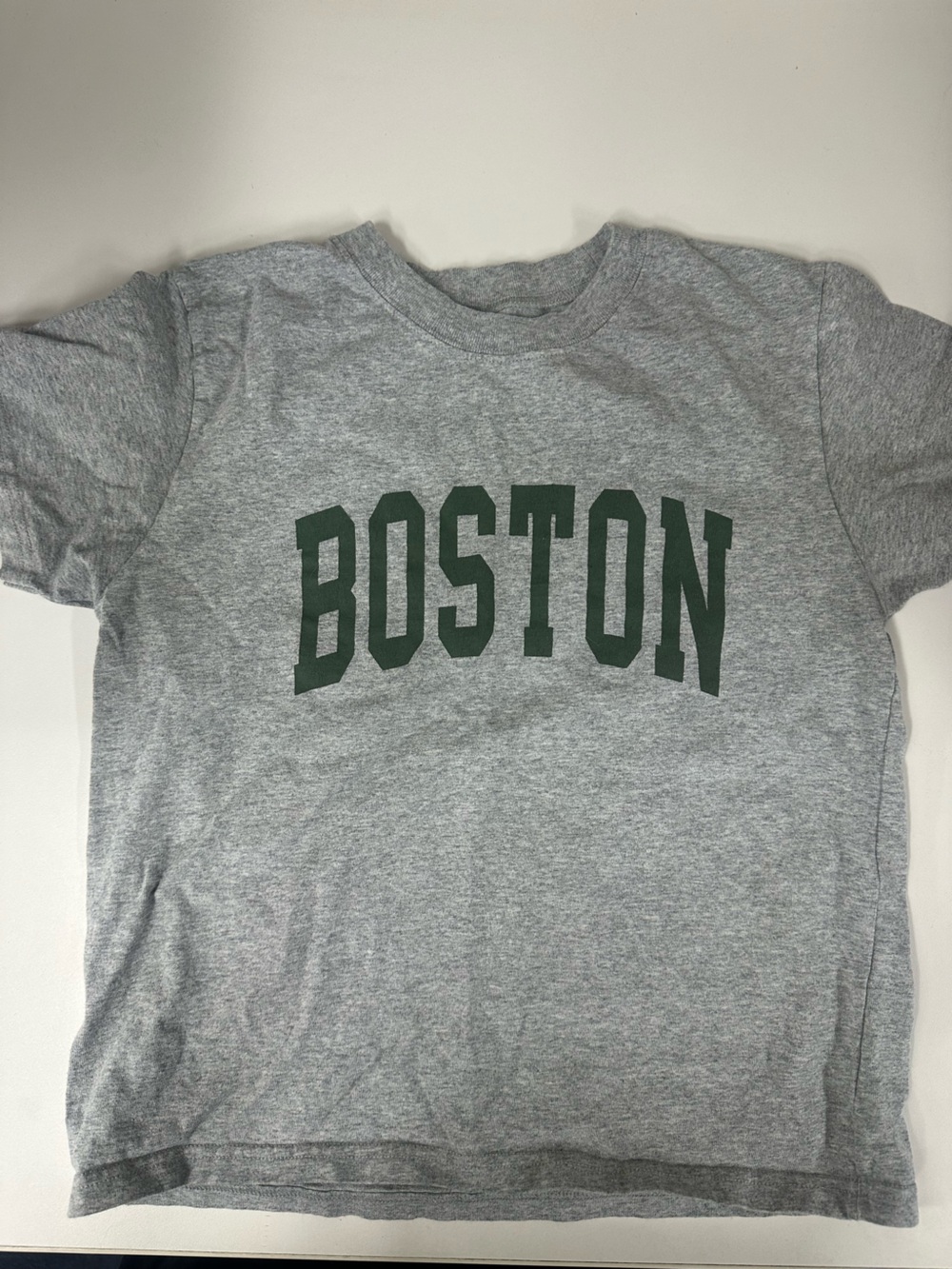 Brandy Melville Gray Hoodie with Dark Green BOSTON Graphic